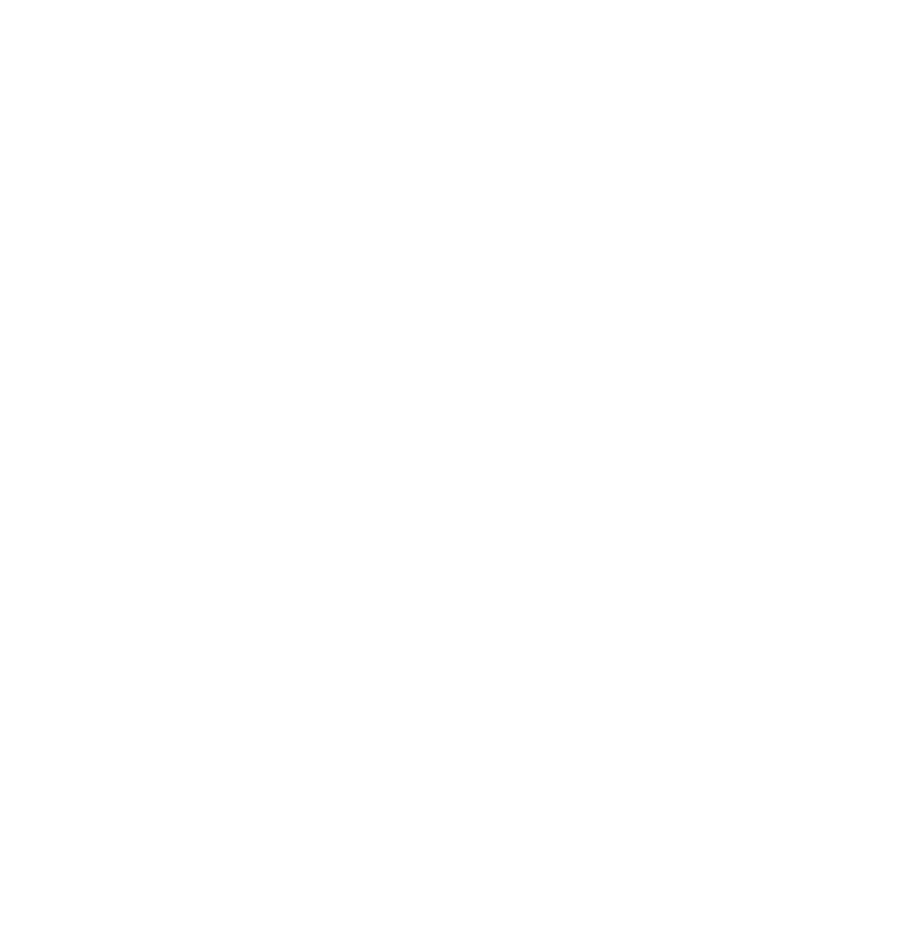 Licenced building practitioner